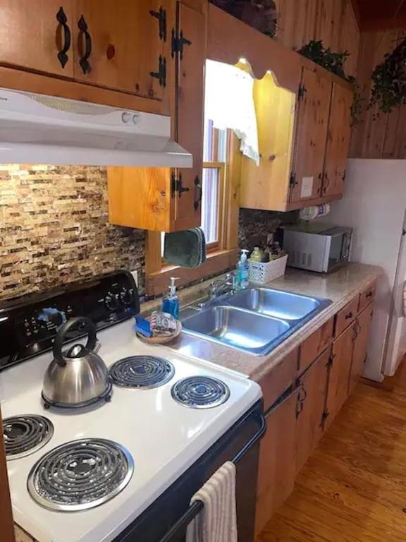 Cozy Cabin: River View With Hot Tub Dahlonega Dış mekan fotoğraf