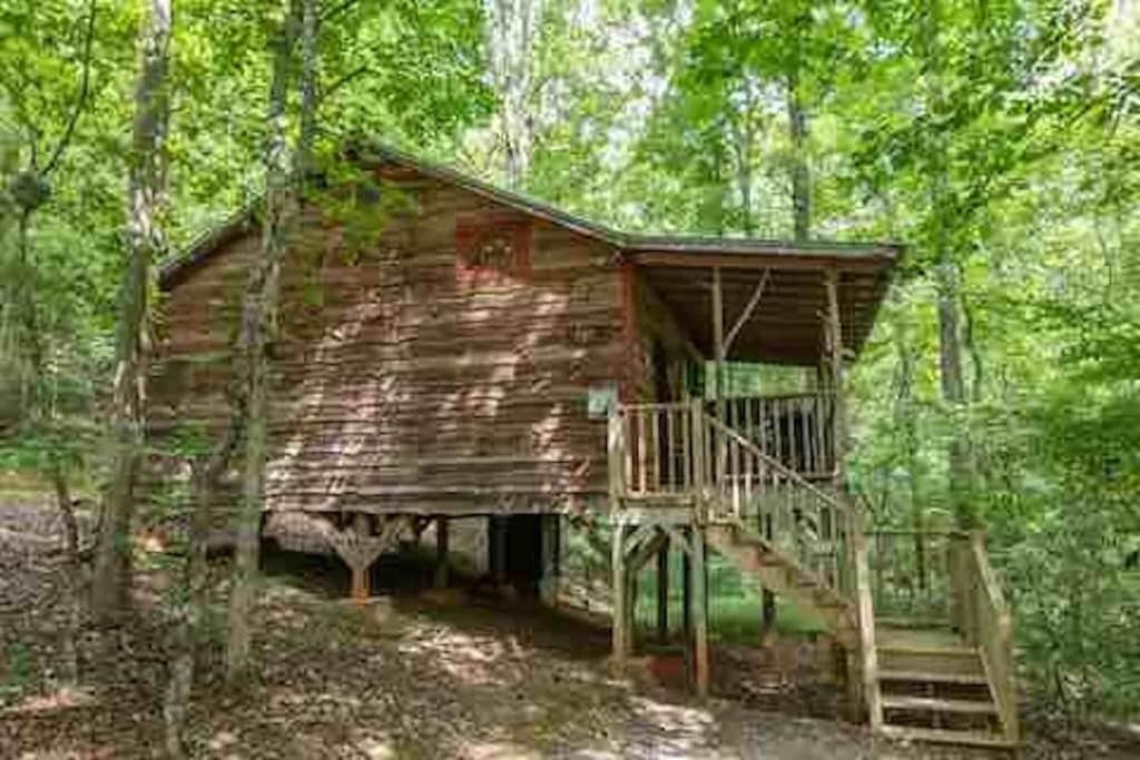 Cozy Cabin: River View With Hot Tub Dahlonega Dış mekan fotoğraf